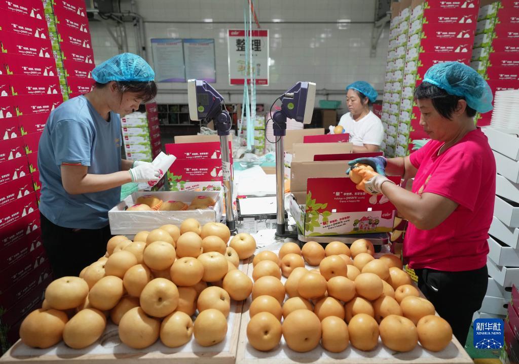 新澳门天天彩资料大全2025年资料